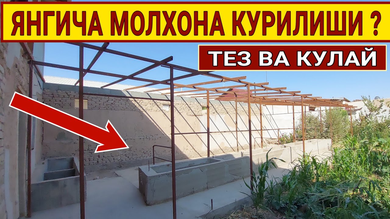 Молхона куриш проекты