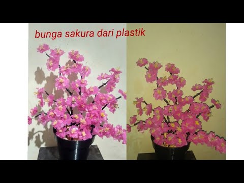  bunga  sakura  dari plastik  kresek YouTube