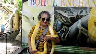 Motion of the Python