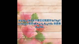 Bu Yao Wang Ji Wo Ai Ni 不要忘记我爱你 Don’t Forget I Love You Lyrics 歌詞 With Pinyin By Zhang Bi Chen