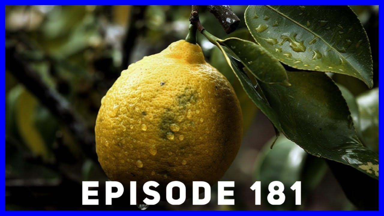 Rootstock Overgrown on Lemon Tree (Ep. 181) YouTube