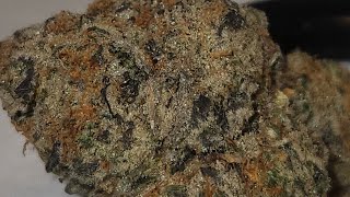 Do Si Do's (Bliss Cut) by 5 Star Exotics - /30 - 5 min Review