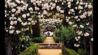 Sử dụng hoa hồng leo thiết kế giàn pergola sân vườn Roses ideal for pergolas (climbing rose for pergola) http://www.