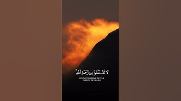 #سورةالزمر #القارئ #حمزة_بوديب #راحة_نفسية #فولو #المصحف #لايك #الرحمن