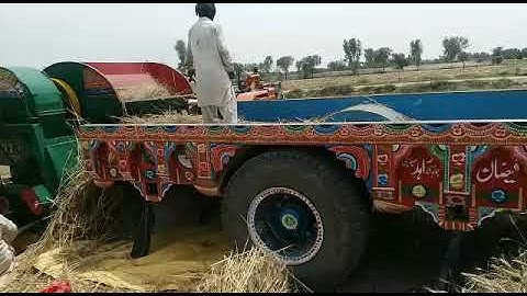 Wheat Thresher Machine Work Video | Fast And Team Work | Agriculture in Pakistan | Zamindar