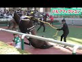 パドックでこけて角田大和騎手の上に乗っかってしまうパルプフィクション