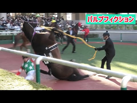 おうまパラダイス☆うまパラのYouTube動画サムネイル