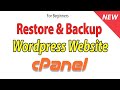 How to take WordPress website backup from cPanel | Website Backup cPanel | WordPress backup cPanel