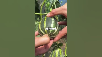 The detective said, "Your fingerprints were at the scene." Me: "I know. I left them on purpose.”