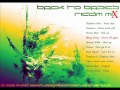 Back To Basics Riddim Mix [FULL] [November 2011] [Starkutt Records]