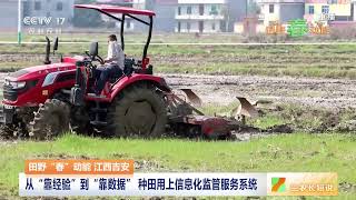 田野“春”动能 广西 水稻直播种植 缩短生育期 每亩增产10% | 三农长短说