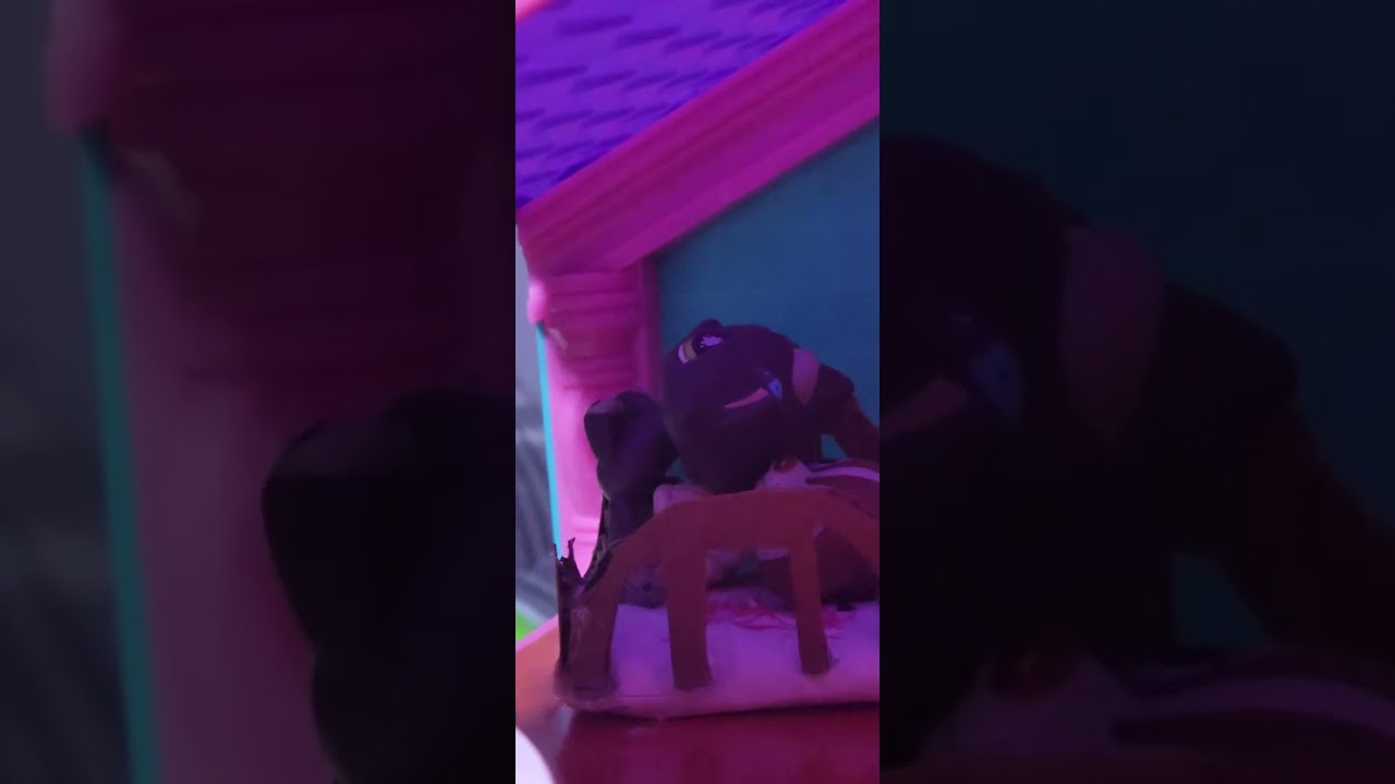 Santa paws|an LPS christmas special 🎄 