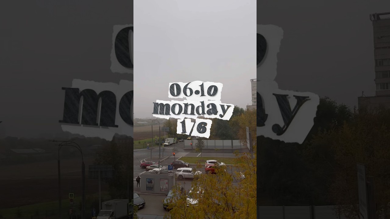 тгк verba | учеба во вшэ, день 1 