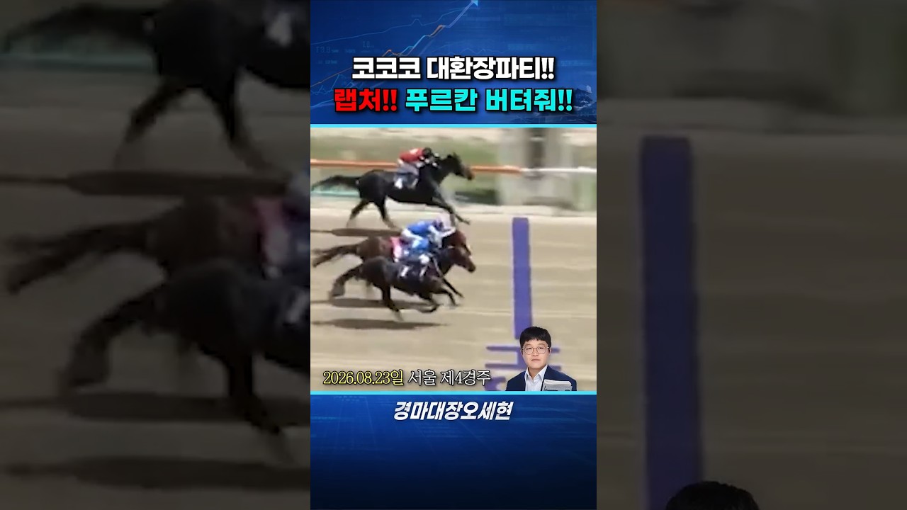 코,코,코! 코차싸움 누가 이긴거야???