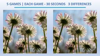 Find the Differences | #34