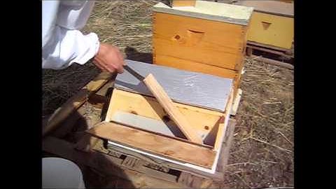 Feeding Honey Bees, Overview of Types of Feeders and How To Mix Sugar Syrup