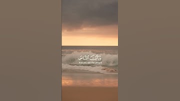 سوره النصر💖💖 الشيخ اسلام صبحي