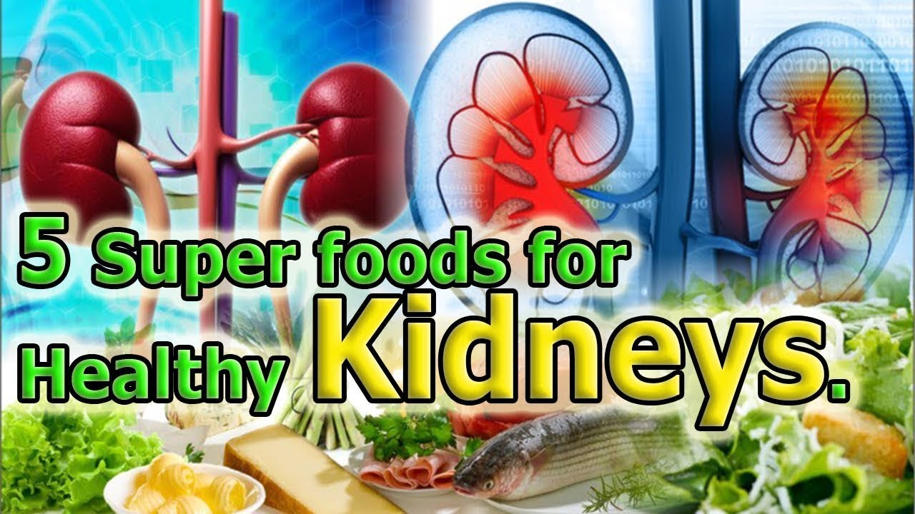 How To Improve Kidney Function Eat These 5 Super Foods For Healthy 