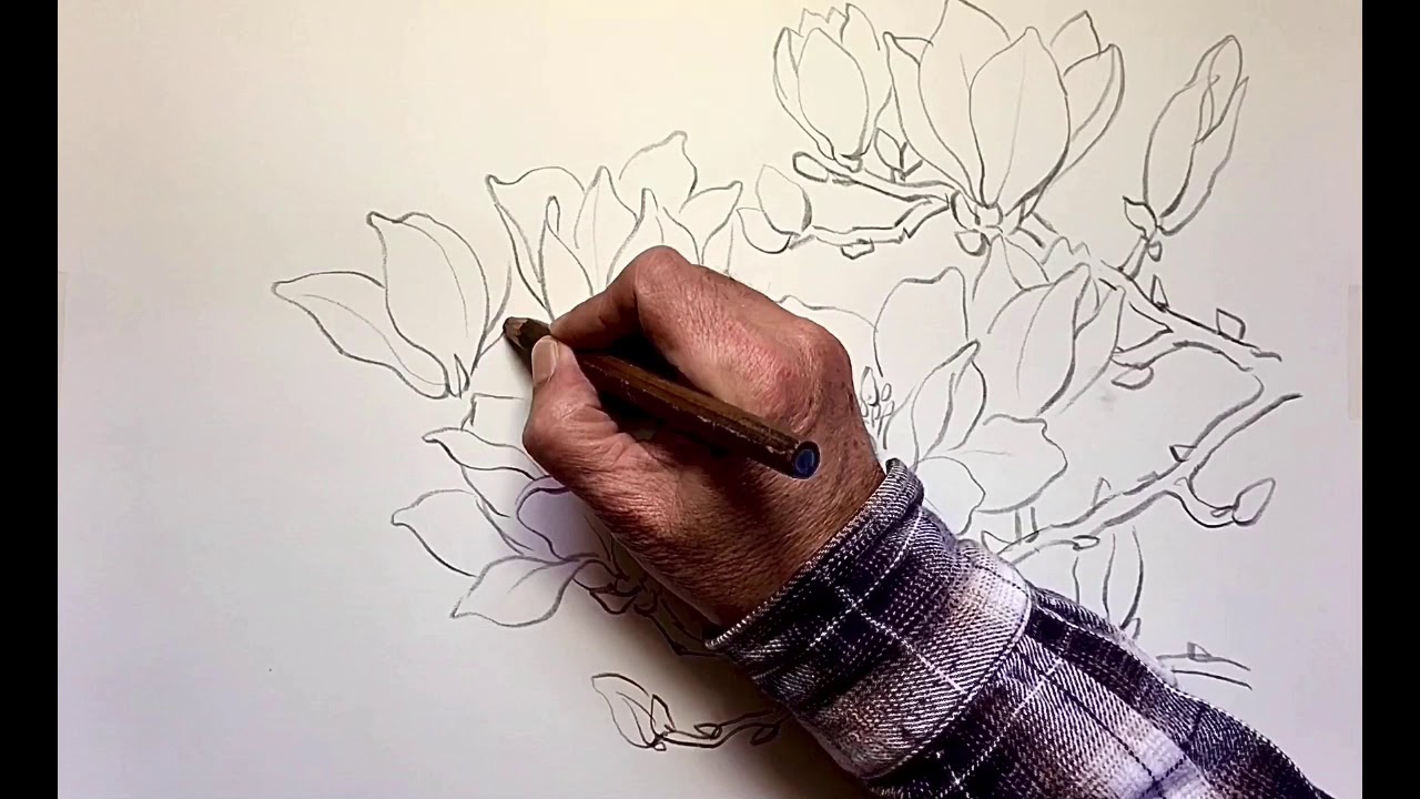 木蓮の描き方(解説) - YouTube