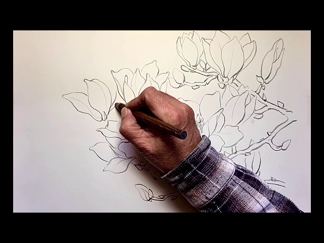 蓮と鶴 手描き色鉛筆原画+モーショングラフィック動画 セート sddefault.jpg