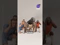 100 Papierwände vs. Härtester Schuss der Welt!