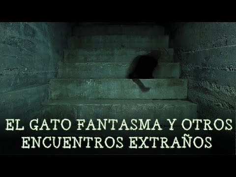 EL GATO FANTASMA y otros ENCUENTROS EXTRAÑOS | PODCAST 78