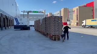 Full Drug Smugglers Slip Up As Cocaine Worth EUR 80M Is Delivered To Supermarkets By Mistake News