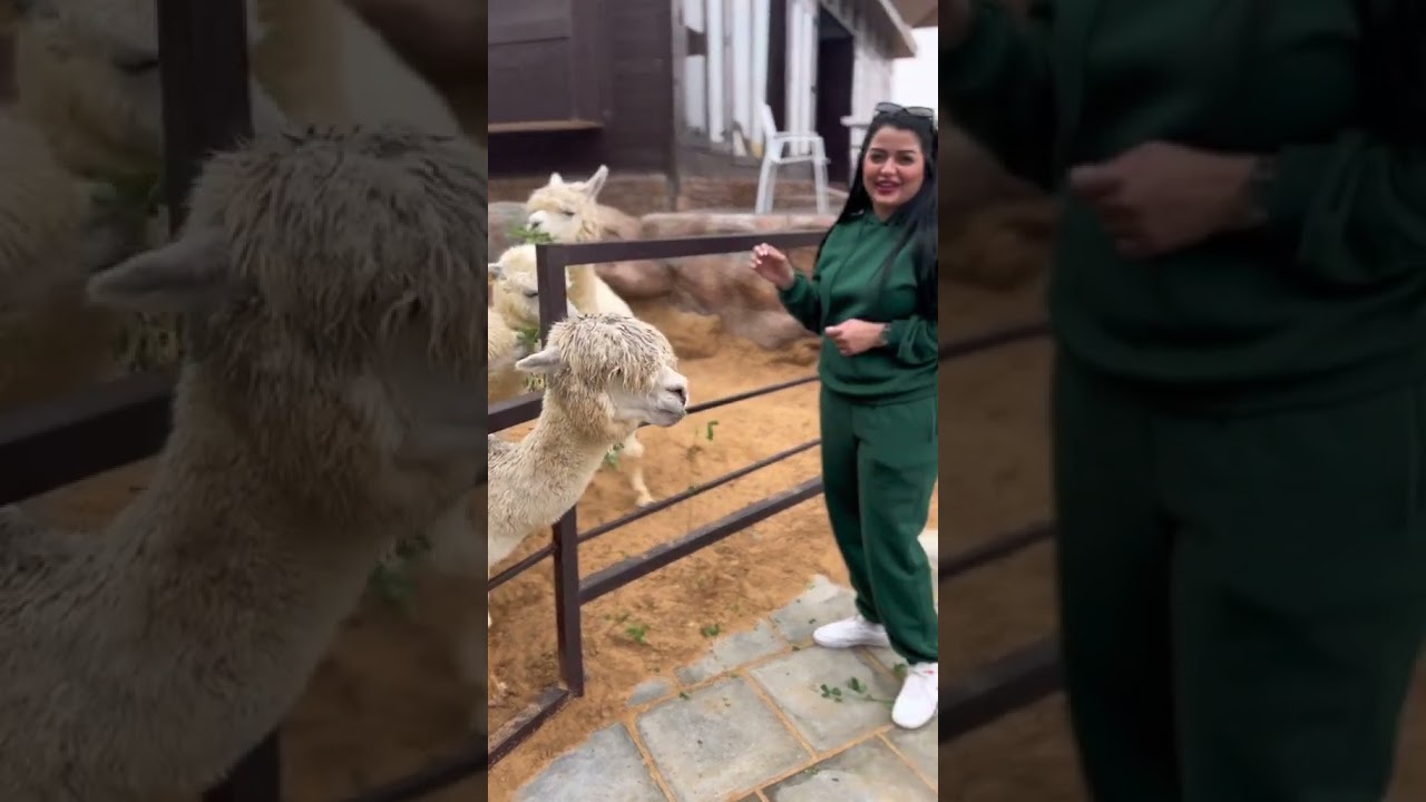 Extraordinary Wildlife Living with Humans: Heartwarming Stories of Coexistence, Conservation