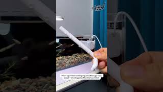 filter mini aquarium #water #ikan #ikanhias #fish #aquascape #aquarium #fyp #funny #pets #pet #happy