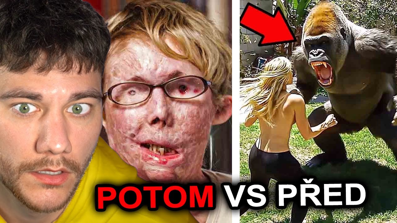 12 DOMÁCÍCH MAZLÍČKŮ, KTERÉ SEŽRALY SVÉ MAJITELE!