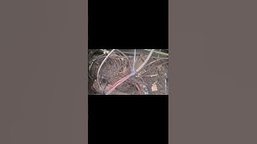 NBN FTTC Not Connecting - Messy NBN Pit  #internettechnician #internetconnection