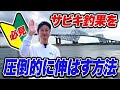 【若洲海浜公園】サビキ釣果の明暗が分かれる理由を釣り場で解説