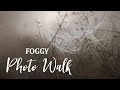 Foggy Nature Photography | Beautiful Conditions for Macro Photography