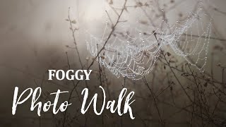 Foggy Nature Photography | Beautiful Conditions for Macro Photography