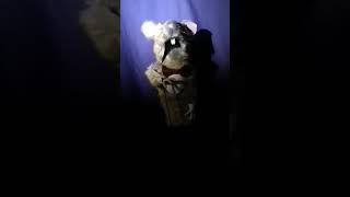the time I made my dads mouse puppet sing an aria.
look man I dont know.
Also I have a discord - https://discord.gg/HDXTtUe the time I made my dads mouse puppet sing an aria.