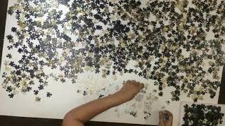 Puzzle Trefl Lions Portrait 1500 Pieces