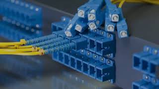 Why Your Business Needs a Structured Cabling