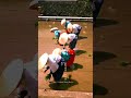 Fushimi Inari Rice Planting Festival 2026 | Kyoto’s Timeless Harvest Tradition 🌾⛩️🇯🇵