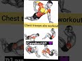 Chest triceps abs workout workout shorst