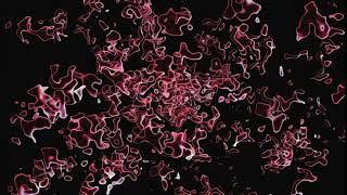 Abstract Liquid Red | Motion Background Animation HD | No Copyright Videos.