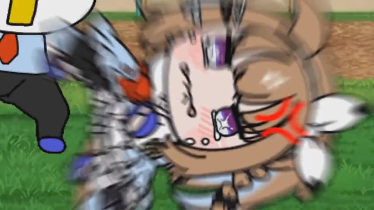 たぬき - YouTube