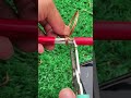 May 29, 2026
