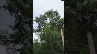 GOD KNOWS YOUR HEART ( KELLY TREEHOUSE ,)