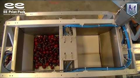 M12i V and Clamshell filler Cherries