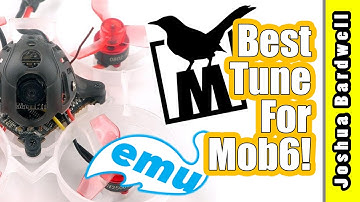 The best my Mobula6 ever flew EMUFLIGHT PROJECT MOCKINGBIRD