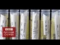 Дело Литвиненко: подробности запутанного убийства - BBC Russian