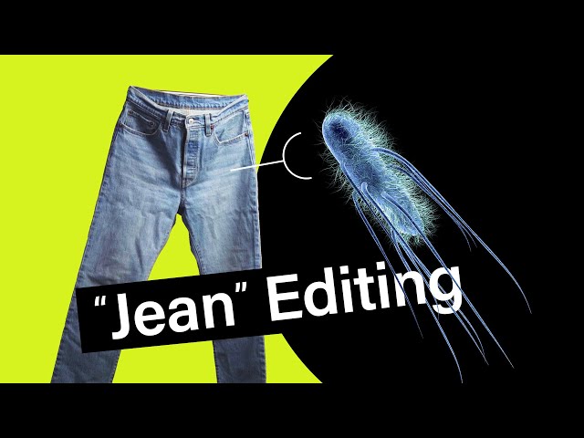 Bring Your Jeans Back To Life In 4 Minutes! (How To Dye Your Jeans) 