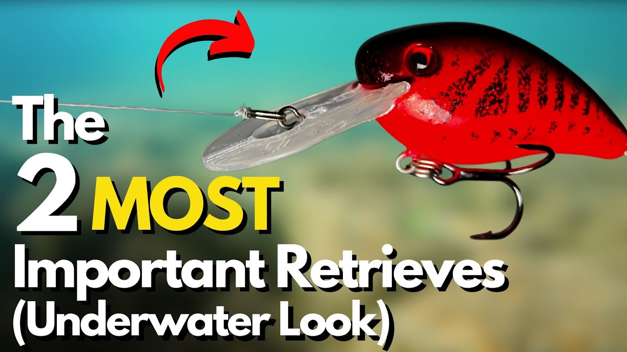 Master These TWO Retrieves for Crankbaits (Watch Underwater)