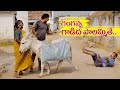      my village show comedy  donkey milk  gangavva