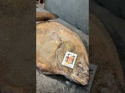 還流サメガレイ鮨